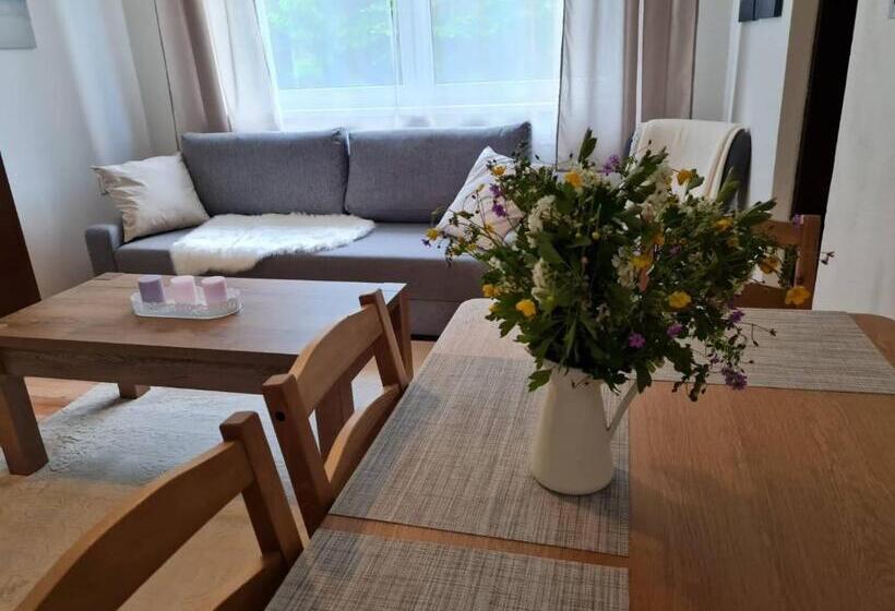 Апартаменты 1 Спальня, Villa Paradajs   Ubytovanie Pri Jazere