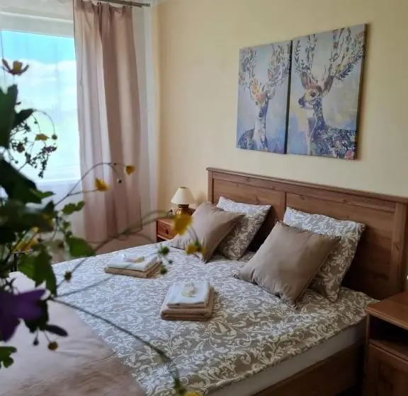 デラックスルーム, Villa Paradajs   Ubytovanie Pri Jazere