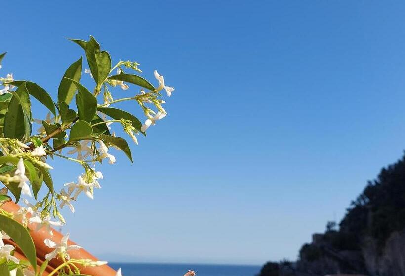 اتاق استاندارد سه نفره, B&b Domus San Pietro