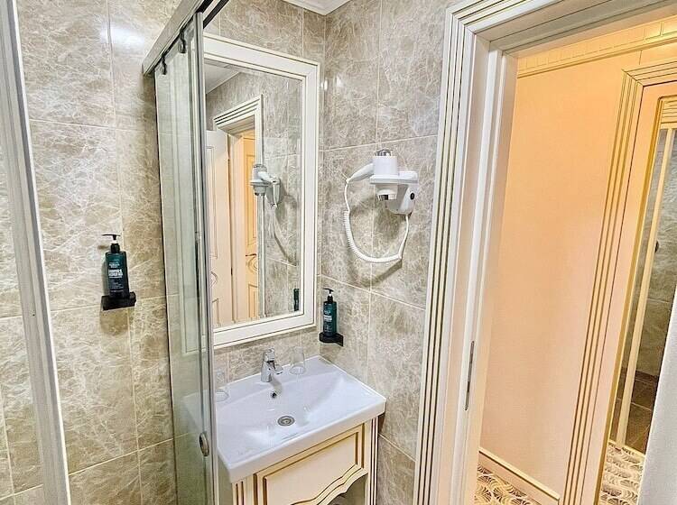 חדר סטנדרט נוף לגינה, Grand Hotel Caraiman