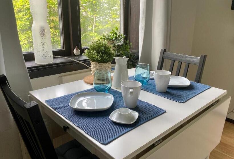 标准工作室, Parkvillan