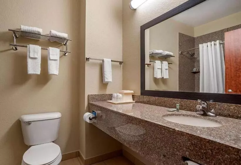 スタンダードルーム, Best Western Troy Inn