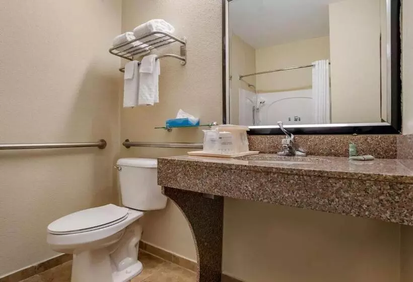 身障者適用キングサイズベッドルーム, Best Western Troy Inn