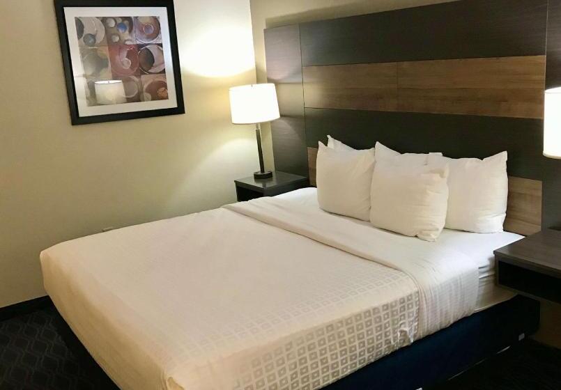 适合残疾人士使用的带超级大床的标准间, Best Western Troy Inn