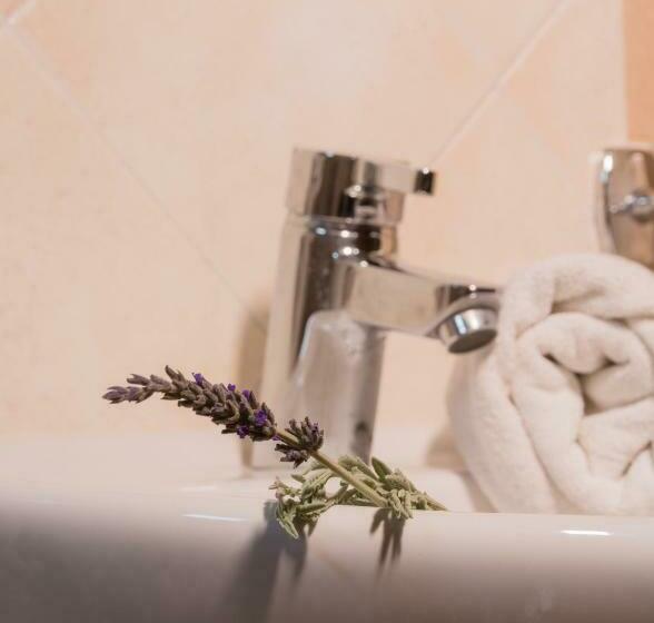 Номер Стандарт, Sunrise