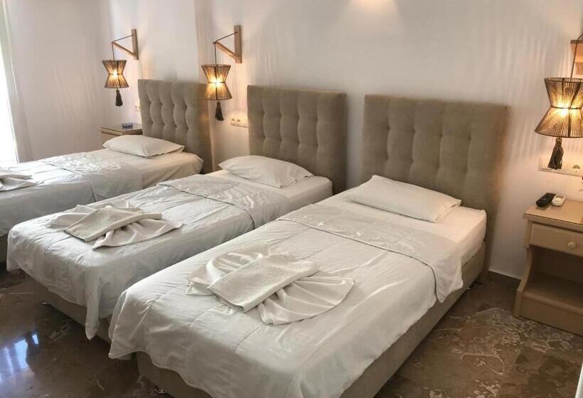 스탠다드 트리플 룸, Vassiliki Rooms