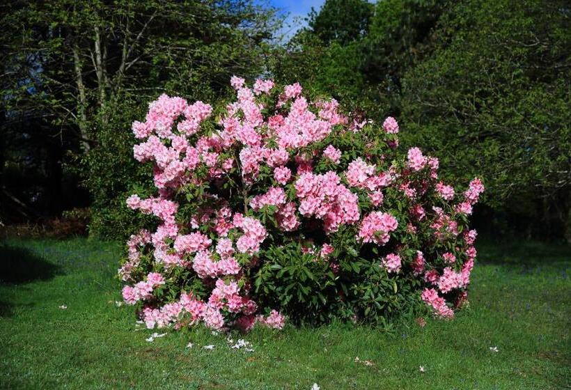 غرفة قياسية مطلّة علي الحديقة, Aux Arbres Chanteurs