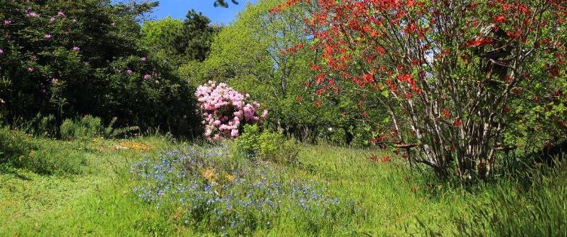 غرفة قياسية, Aux Arbres Chanteurs
