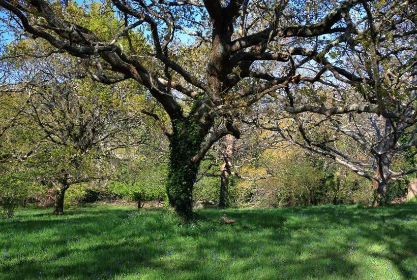 جناح عائلي, Aux Arbres Chanteurs