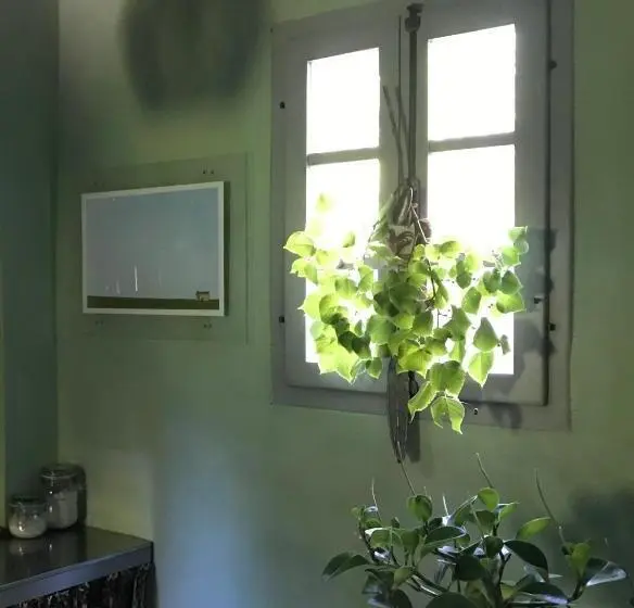 ガーデンビューのスタンダードワンルーム, Casina Morgana B&b