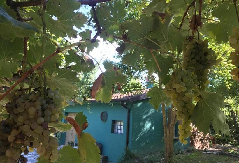 إستوديو قياسى مطلّ علي الحديقة, Casina Morgana B&b