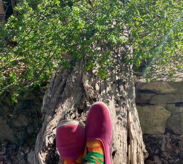 إستوديو قياسى مطلّ علي الحديقة, Casina Morgana B&b