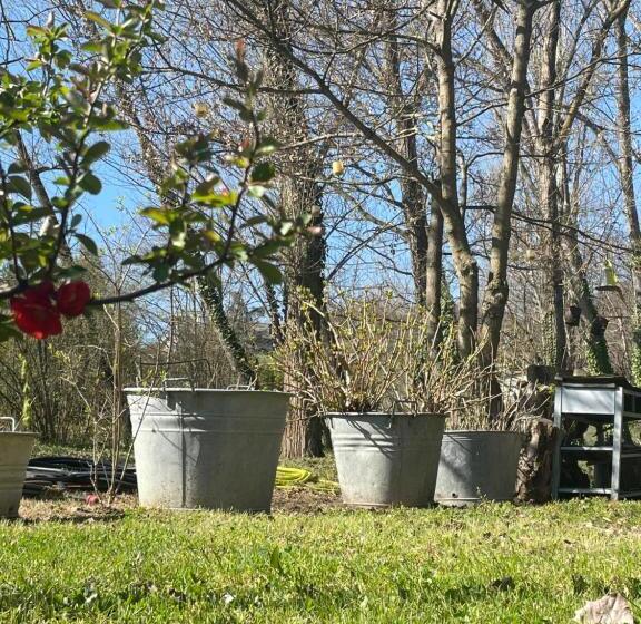 إستوديو قياسى مطلّ علي الحديقة, Casina Morgana B&b