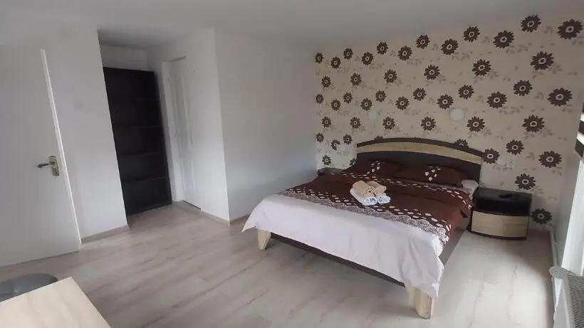スタンダードルーム, Casa Lena  Vatra Dornei