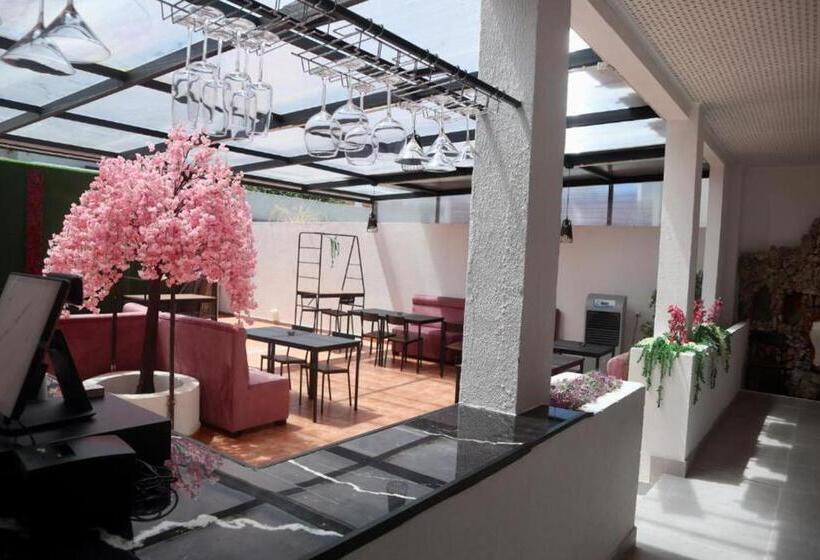 اتاق استاندارد, Amadora Boutique Hostel