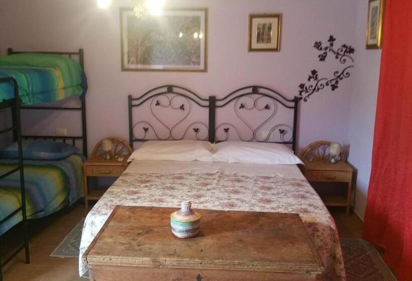 غرفة قياسية, Sherdana S