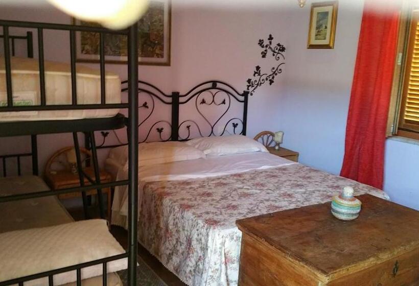 غرفة قياسية, Sherdana S