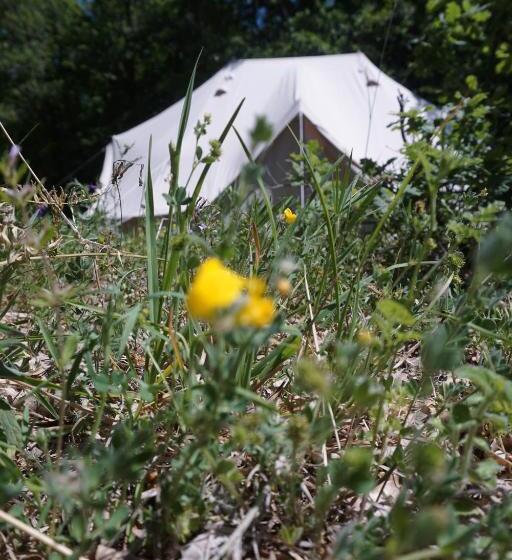 Standard Tent, Dimore Montane