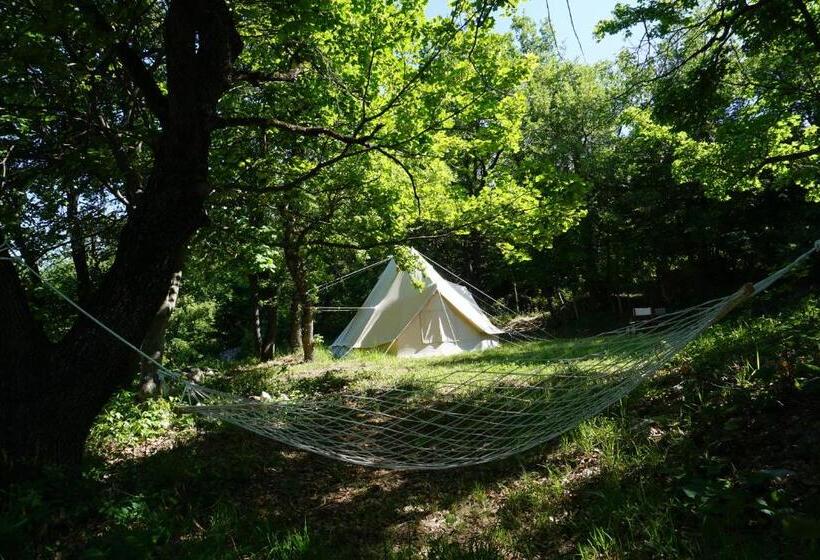 Standard Tent, Dimore Montane