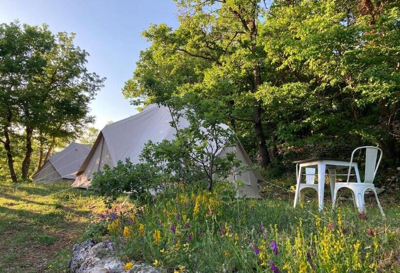 Standard Tent, Dimore Montane