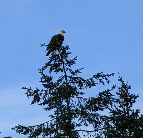 חדר דלוקס לארבעה, Maple Rise Guesthouse