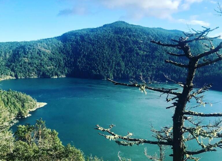 חדר דלוקס לארבעה, Maple Rise Guesthouse