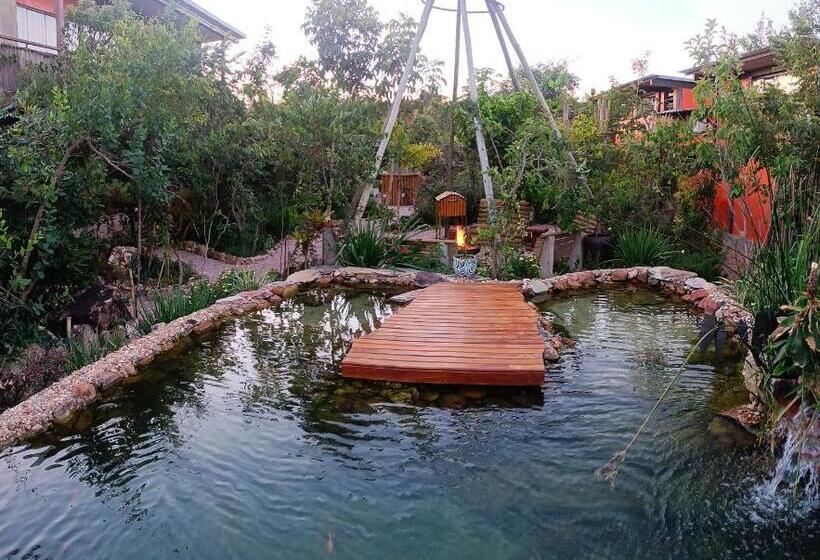 استودیوی لوکس, Vila Abaton