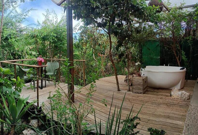 استودیوی لوکس, Vila Abaton