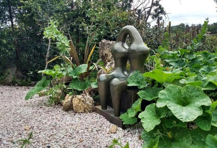 استودیوی لوکس, Vila Abaton