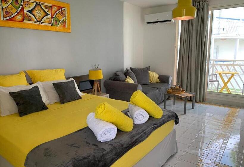 استودیوی سوپریور, Studio Manganao Saint François Piscine & Plage