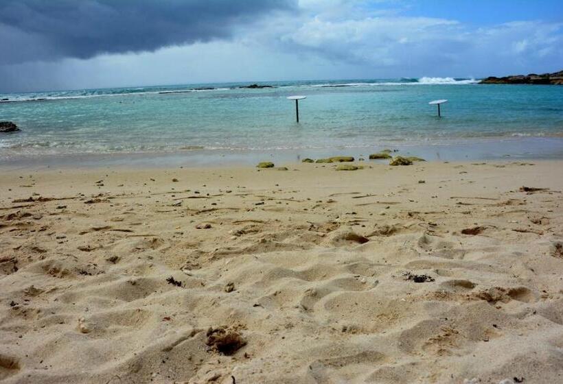 استودیوی سوپریور, Studio Manganao Saint François Piscine & Plage