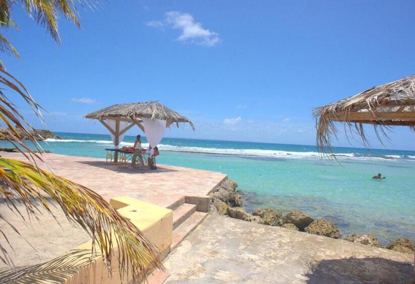 استودیوی سوپریور, Studio Manganao Saint François Piscine & Plage