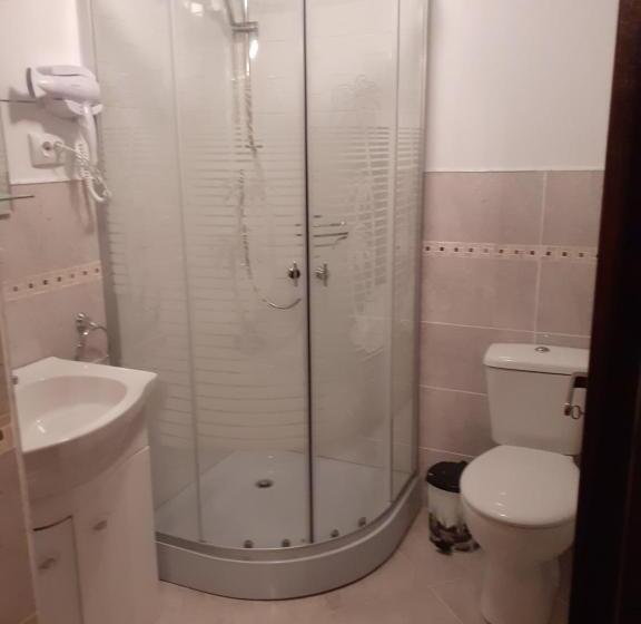 منزل غرفة نوم واحدة, Pensiunea Natura Sadu