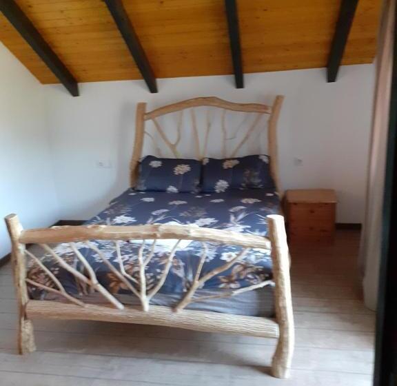 غرفة قياسية, Pensiunea Natura Sadu