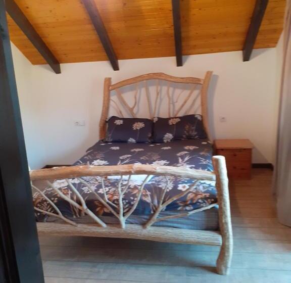 غرفة قياسية, Pensiunea Natura Sadu