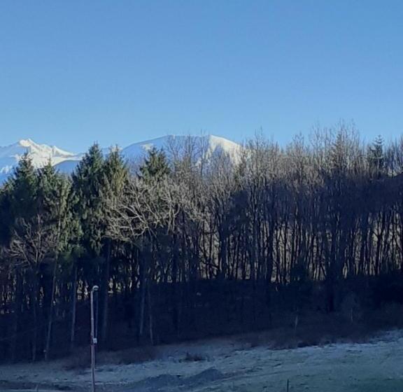 منزل غرفة نوم واحدة, Pensiunea Natura Sadu