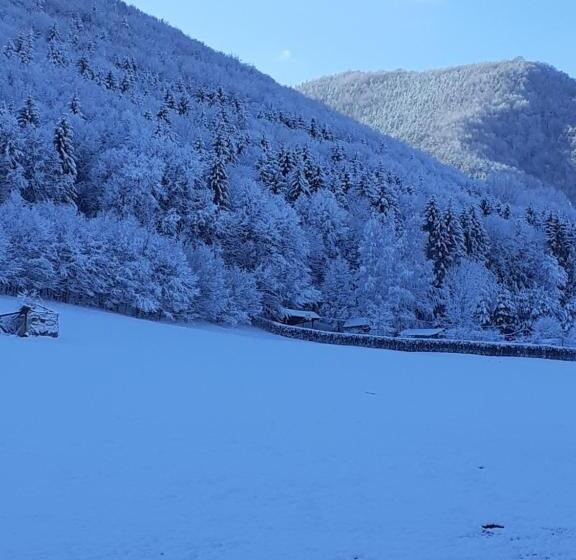 منزل غرفة نوم واحدة, Pensiunea Natura Sadu