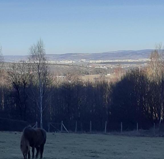 منزل غرفة نوم واحدة, Pensiunea Natura Sadu