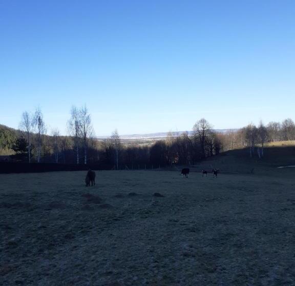 1间卧室的房子, Pensiunea Natura Sadu