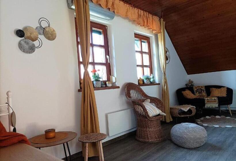 شقة غرفة واحدة, Vendégház A Csabay Kúriához