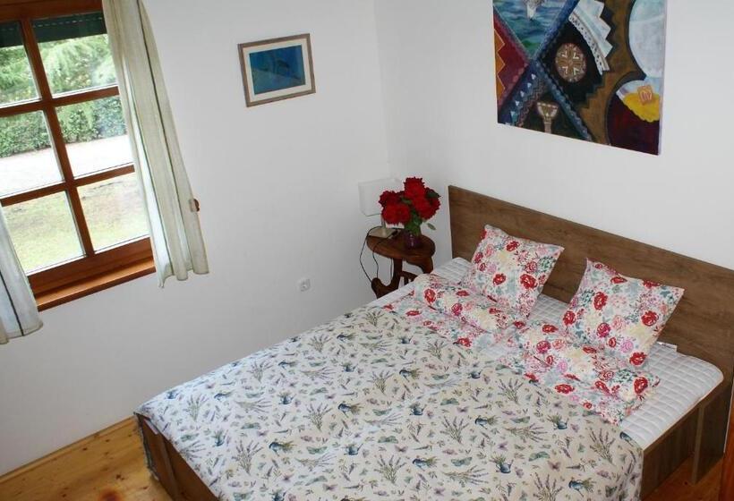 شقة غرفة واحدة مزودة بتراس, Vendégház A Csabay Kúriához