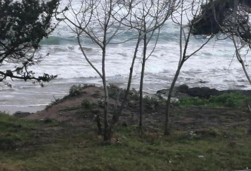 סטודיו דלוקס, Hlophe S Place