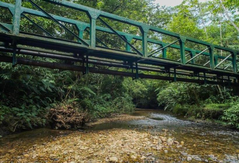 اتاق خانوادگی, Suíte Privativa Próxima Ao Sesc 1