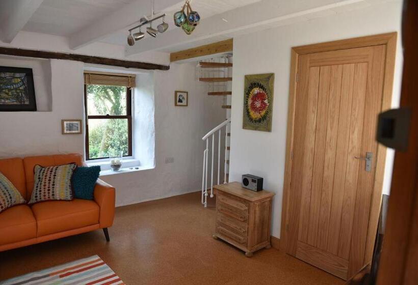اتاق استاندارد با تخت بزرگ, Delfryn Guest Suite