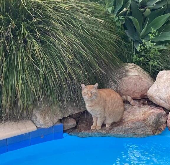 غرفة قياسية مطلّة علي الحديقة, Robinson Retreat