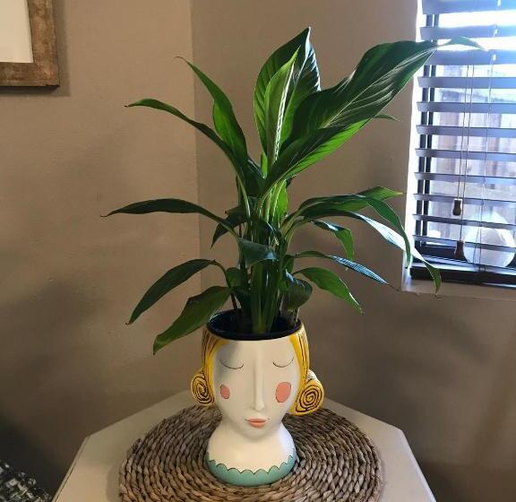 غرفة قياسية مطلّة علي الحديقة, Robinson Retreat