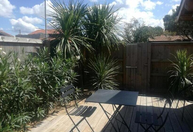 스탠다드 테라스 룸, La Cabane Poetique