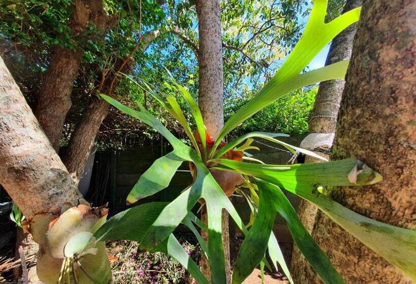 בית, 4 חדרי שינה, 23 Ambleside Holiday Retreat By The Sea