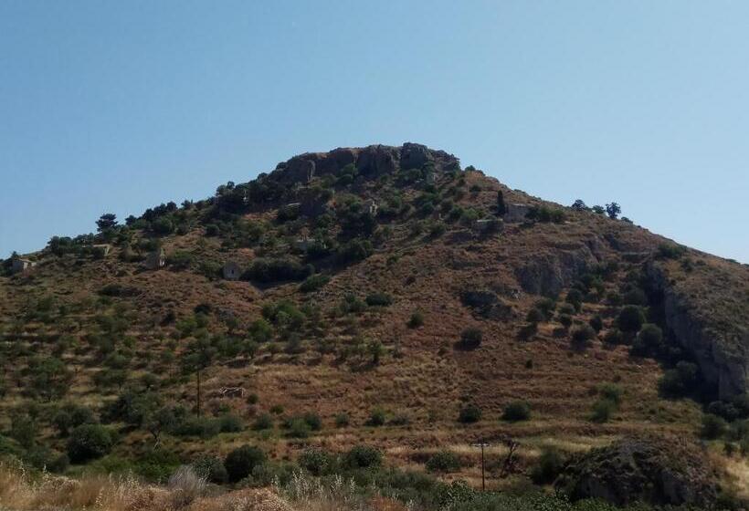 اتاق استاندارد یک نفره, Anatoli