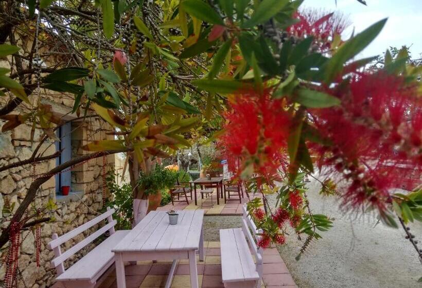 اتاق استاندارد با چشمانداز کوهستان, Anatoli